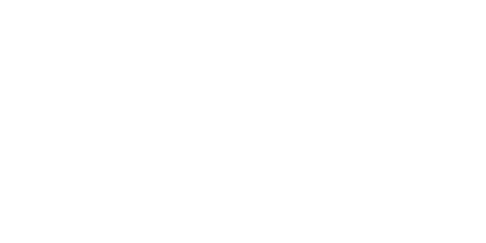 logo-bam-white